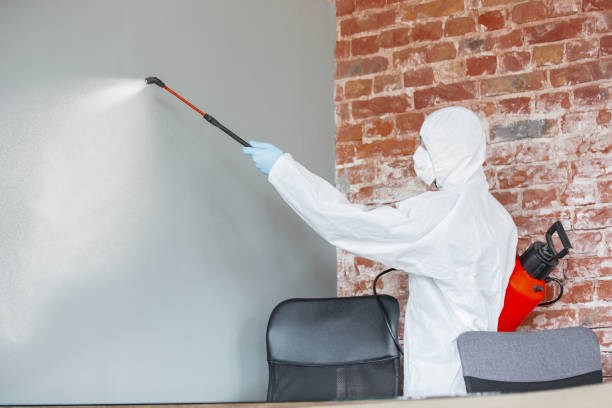 Best Airborne Mold Testing  in Bloomville, OH