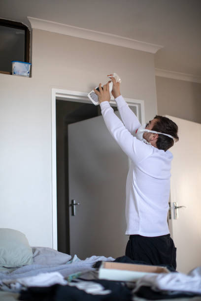 Best Residential Mold Inspection & Testing  in Bloomville, OH