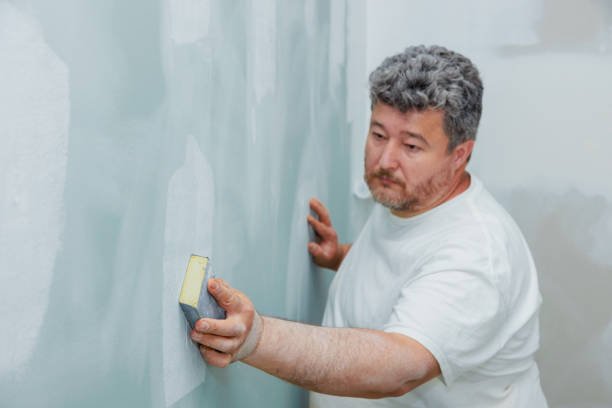 Trusted Bloomville, OH Mold Removal Experts