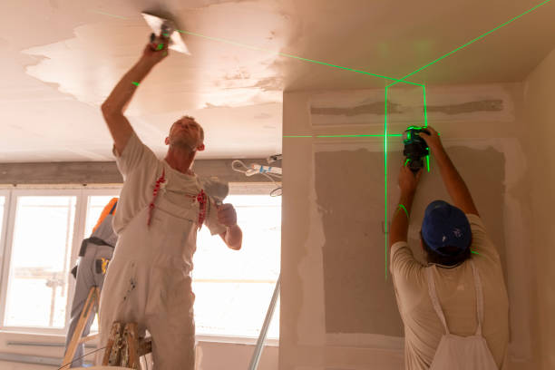Best Mold Removal for HVAC Installations  in Bloomville, OH