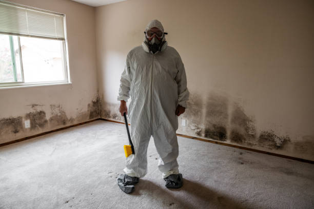 Best Air Quality Testing for Mold Spores  in Bloomville, OH